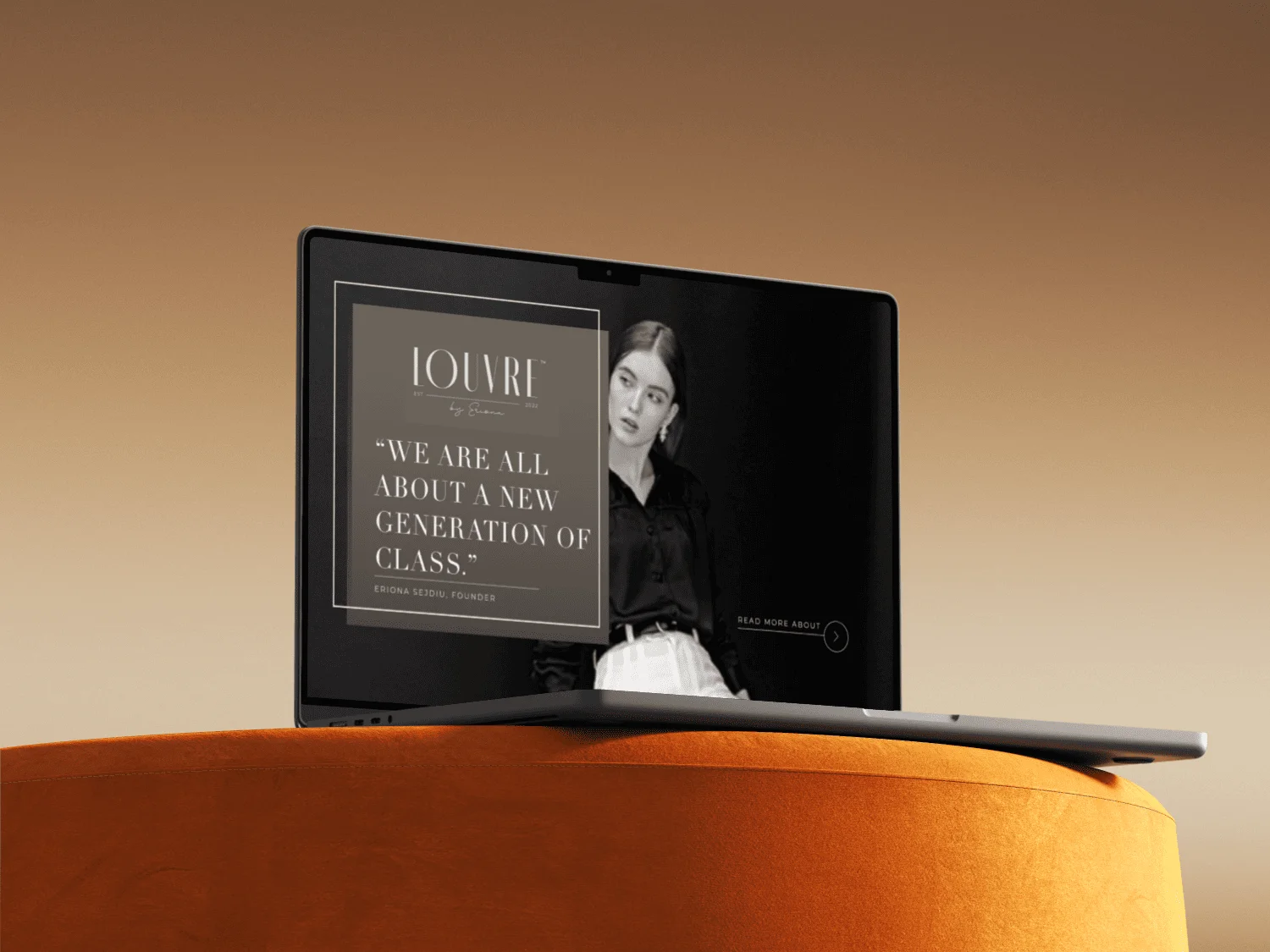 A picture of louvre website design